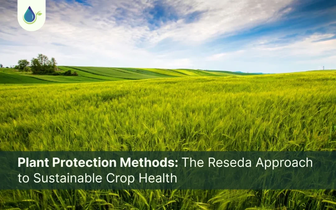 Plant Protection Methods: The Reseda Approach to Sustainable Crop Health