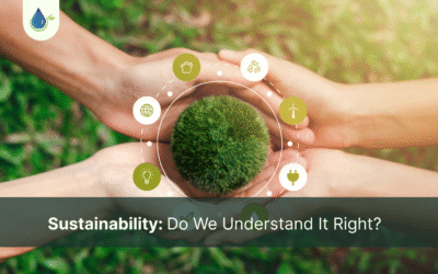 Sustainability: Do We Understand It Right?