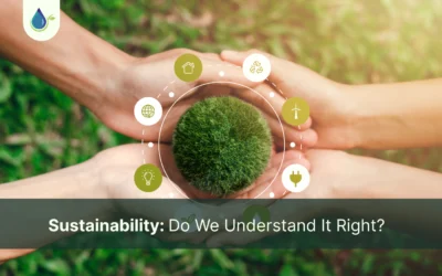 Sustainability: Do We Understand It Right?