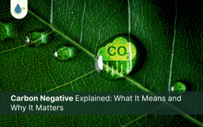 Carbon Negative Explained: What It Means and Why It Matters