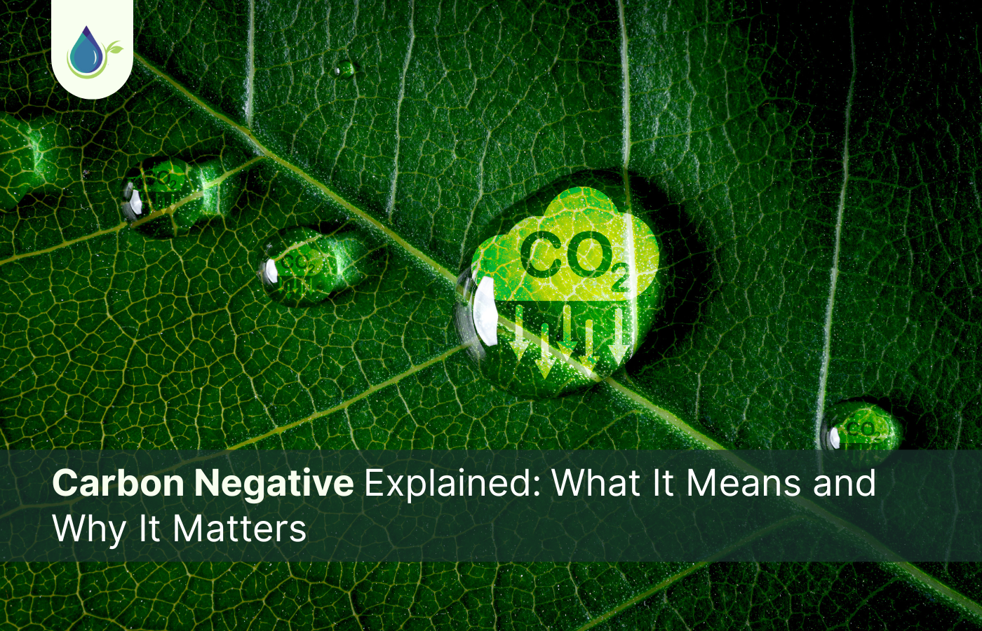 carbon negative explaining what it means and why it matters