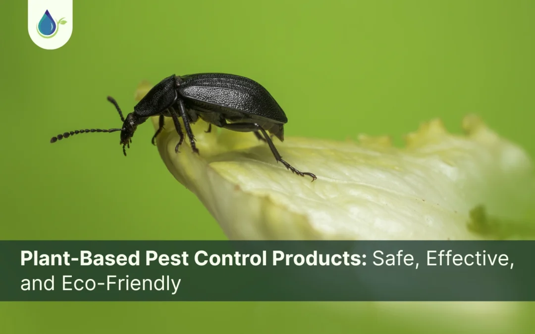 Plant-Based Pest Control Products Safe, Effective, and Eco-Friendly