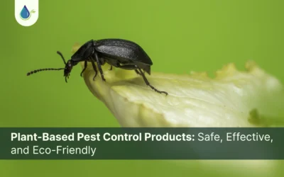 Plant-Based Pest Control Products Safe, Effective, and Eco-Friendly