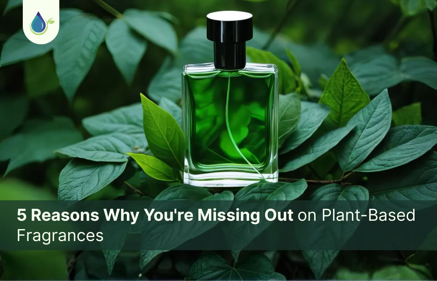 5 Reasons Why You're Missing Out on Plant-Based Fragrances banner image
