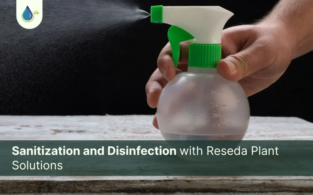 Sanitization and Disinfection with Reseda Plant Solutions