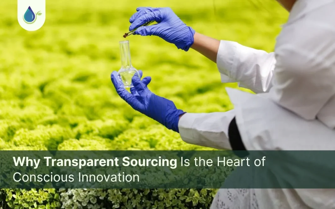 Why Transparent Sourcing Is the Heart of Conscious Innovation