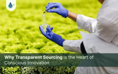 Why Transparent Sourcing Is the Heart of Conscious Innovation