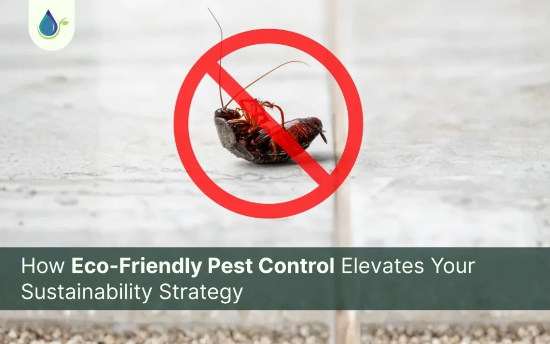 How Eco Friendly Pest Control Elevates Your Sustainability Strategy