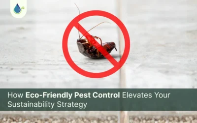How Eco Friendly Pest Control Elevates Your Sustainability Strategy