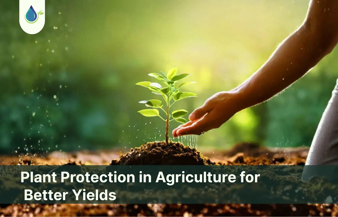 Plant Protection in Agriculture for Better Yields