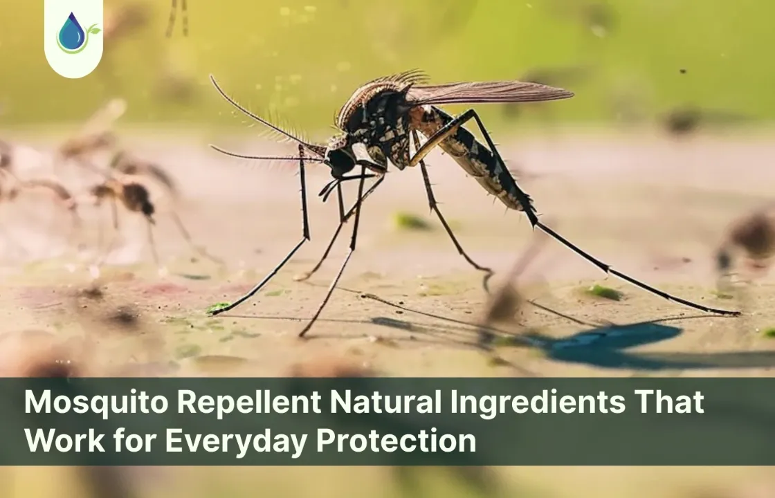 Mosquito Repellent Natural