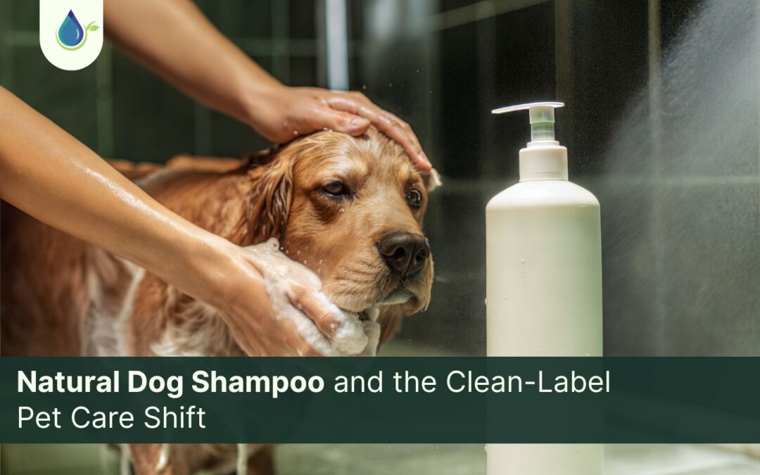 Natural Dog Shampoo and the Clean-Label Pet Care Shift