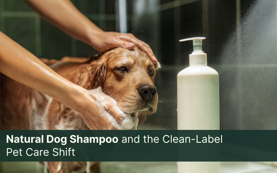 Natural Dog Shampoo and the Clean-Label Pet Care Shift