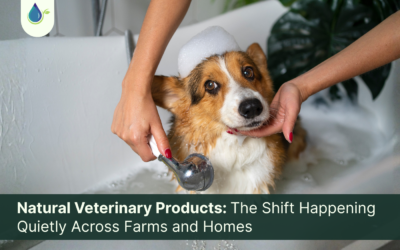 Natural Veterinary Products: The Shift Happening Quietly Across Farms and Homes