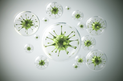 Antimicrobial additive designed to protect paint finish from bacteria, mold and fungi