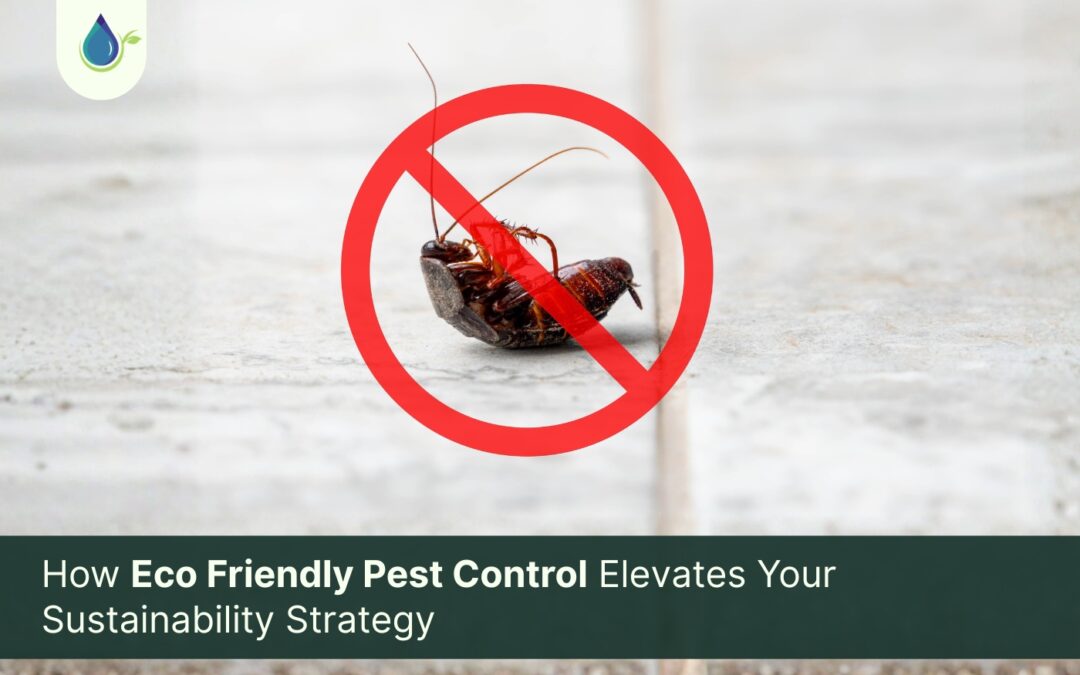 How Eco Friendly Pest Control Elevates Your Sustainability Strategy