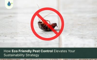 How Eco Friendly Pest Control Elevates Your Sustainability Strategy