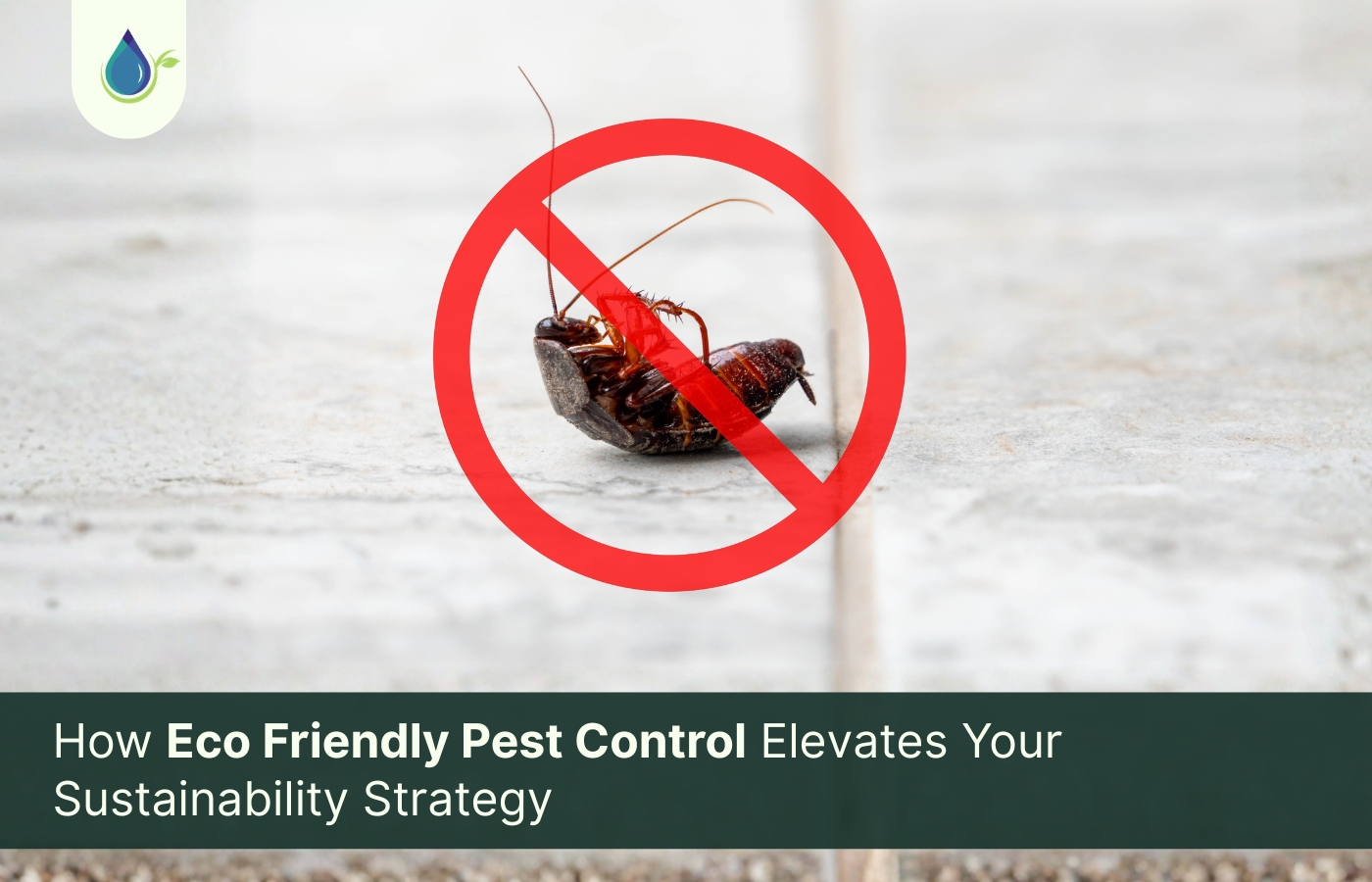  Eco friendly pest control illustration showing a cockroach with a prohibition symbol, representing sustainable and non-toxic pest management for homes and commercial spaces.